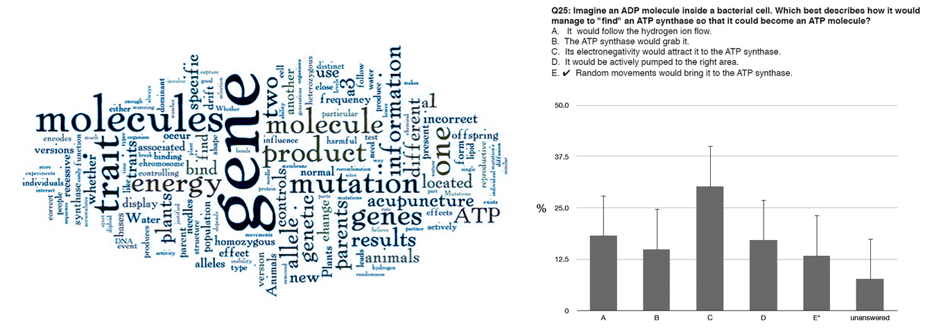 Ap biology evolution essay questions and answers